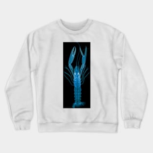 Langoustine, X-ray (Z220/0125) Crewneck Sweatshirt